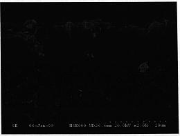 一种在超稀合成液中制备高性能Silicalite-1分子筛膜的方法