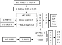 甜樱桃专用微生物菌剂、生物有机肥及其制备方法