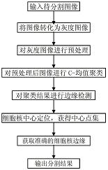 一种人体组织细胞双光子显微图像的定位分割方法