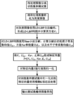 基于二次谐波图像纹理分析的皮肤瘢痕诊断方法