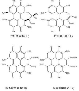 一种内生竹黄真菌发酵制备苝醌类化合物的方法