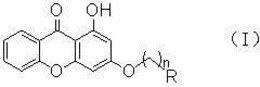 呫吨酮衍生物及其制备方法和应用