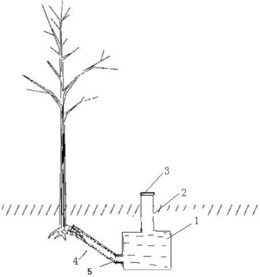 一种树木生态营养保护仪