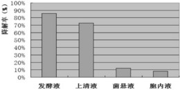 一株降解AFB1的枯草芽孢杆菌