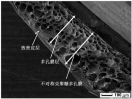 一种不对称壳聚糖纳米纤维多孔膜及其制备方法