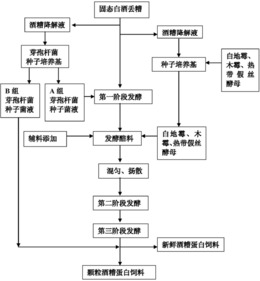 一种三阶段混菌固态发酵制备酒糟蛋白饲料的方法