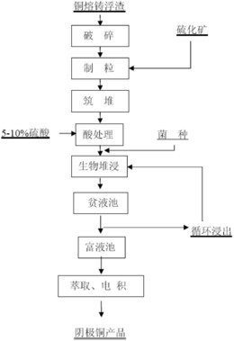 铜熔铸浮渣生物堆浸回收铜工艺