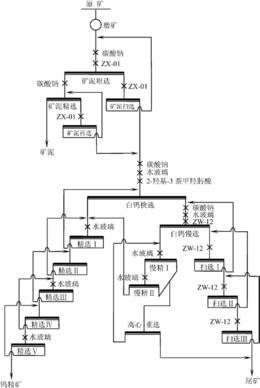 一种难选低品位白钨矿的选矿方法