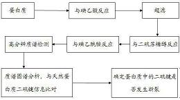 一种检测蛋白质二硫键是否断裂的方法