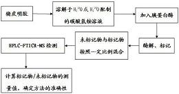 基于质谱和同位素标记建立的定量检测猪皮明胶的方法