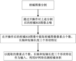 柑橘体积的视觉检测方法