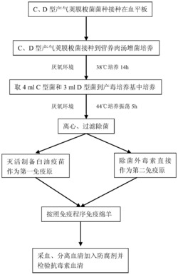 C、D型产气荚膜梭菌抗毒素血清及其制备方法