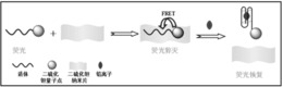 二硫化钽量子点/纳米片复合物铅离子荧光探针的制法