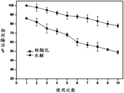 无载体固定化米根霉脂肪酶及其制备方法和生产生物柴油的应用