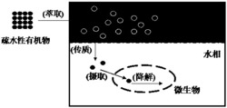 浊点系统中萃取微生物降解疏水性有机物的方法