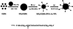 一种SiO2/GQDs–DNA–AuNPs纳米复合材料及其制备方法和应用