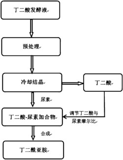 一种利用丁二酸发酵液制备丁二酰亚胺的方法