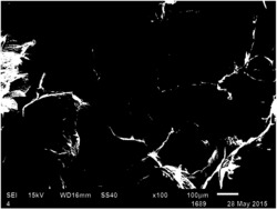 二维氧化石墨烯杂化一维纳米纤维素改性水性木器涂料的方法