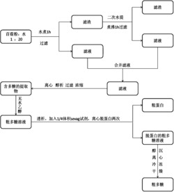 一种苜蓿多糖的提取和纯化方法