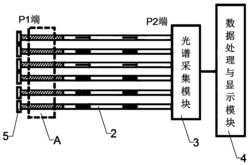 基于空心布拉格光纤的小型化荧光光谱检测装置