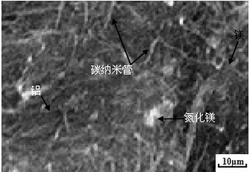 一种氮化镁-碳纳米管颗粒增强镁基合金材料的制备方法