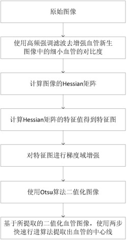 一种用于光学分辨率光声显微镜下活体肿瘤血管新生图像的血管提取方法