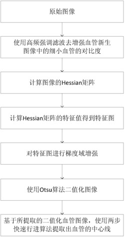 一种用于光学分辨率光声显微镜下活体肿瘤血管新生图像的血管提取方法