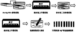 一种低“咖啡环效应”的荧光试纸及其制备方法和应用