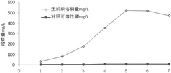 一株塔宾曲霉菌CT1及其在盐碱地解磷方面的应用