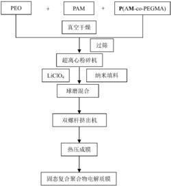 一种聚丙烯酰胺类固态复合聚合物电解质及其制备方法