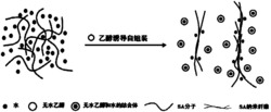 一种基于自组装工艺的海藻酸钠纳米纤维的制备方法