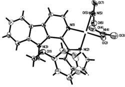 1-(2-吡啶)-9-(2-苯氧基乙基)-β-咔啉的硝酸铜配合物及合成方法和应用