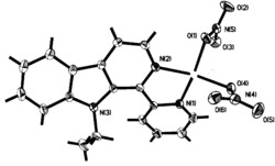 以1-(2-吡啶)-9-乙基-β-咔啉为配体的硝酸铜配合物及其合成方法和应用