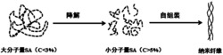 一种使用小分子量海藻酸钠自组装成纳米纤维的方法