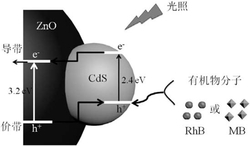 ZnO‑CdS复合材料及其制备方法和应用