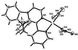 1‑(2‑吡啶)‑9‑(4‑甲基苄基)‑β‑咔啉的硝酸铜配合物及其合成方法和应用