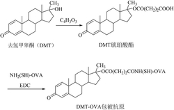 一种去氢甲睾酮抗原及其制备方法和检测试纸卡