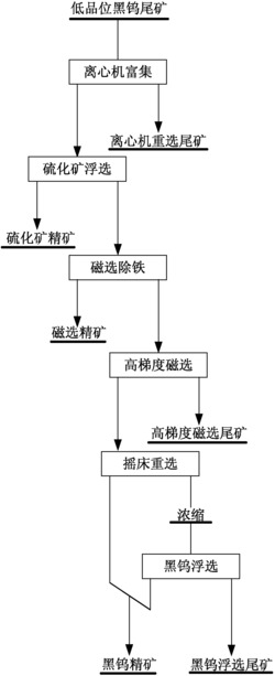 一种从尾矿中回收黑钨矿的选矿方法