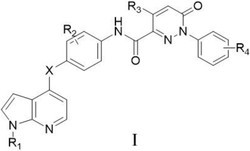 含有二氢哒嗪结构的7‑氮杂吲哚类化合物及其应用