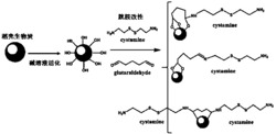 吸附重金属镉离子的胱胺改性生物炭的制备方法