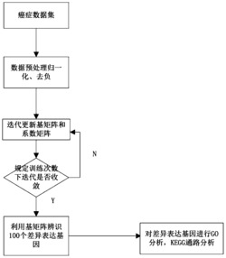 基于联合约束非负矩阵分解的差异表达基因辨识方法