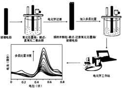 一种树枝状纳米复合物多柔比星电化学传感器的制备方法