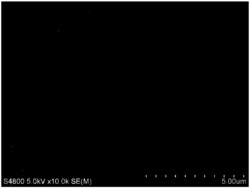 Sn‑β分子筛及其水热合成方法和苯酚羟基化的方法