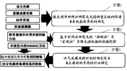 一种基于时间分辨荧光光谱确定石油包裹体成藏关键时刻的装置及方法