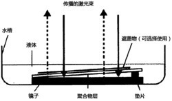 环糊精修饰的全息传感器定量分析生物试样中布洛芬的方法