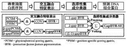 交互融合特征表示与选择性集成的DNA结合蛋白识别方法