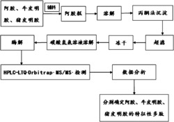 定性分析阿胶糕中胶类来源的方法