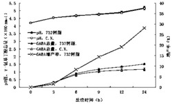 一种以732阳离子交换树脂提高谷氨酸脱羧酶活性的方法