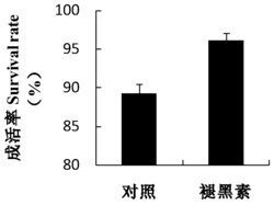 褪黑素在促进嫁接番茄成活和生长中的应用