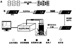 一种酶和石墨烯协同催化银沉积检测胆固醇的方法